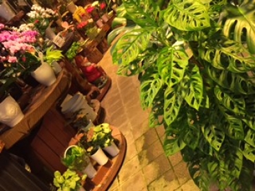 「フローリスト　こはな」　（静岡県富士市）の花屋店舗写真3