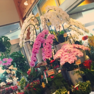 「フローリスト　こはな」　（静岡県富士市）の花屋店舗写真4